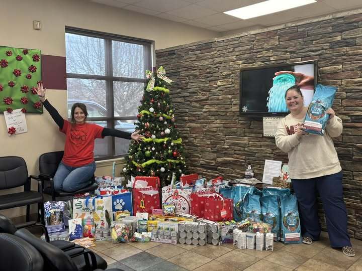Giving Tree for Rutherford County Cat Rescue